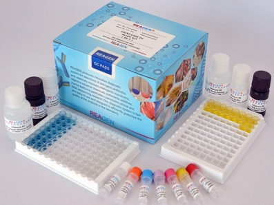 Zilpaterol Strip Test Kit_1